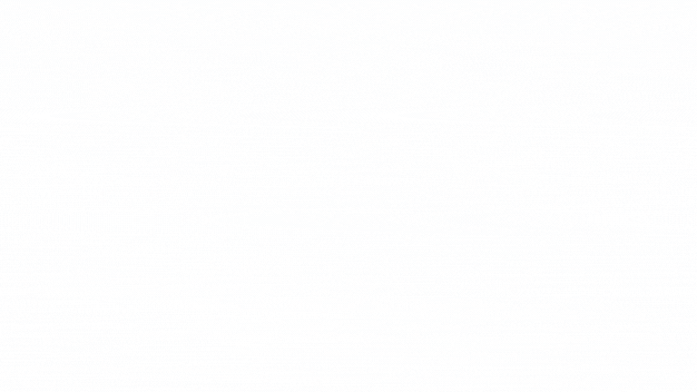 Skills Development Consulting 