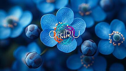 Okiru Sales Strategy Training