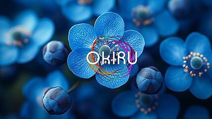 Okiru Finance for Non-Finance Managers Training